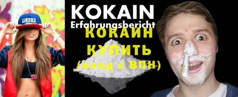 KRAKEN вход  Видное  Cocaine Fish Scale 